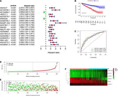 A Glycolysis-Based Long Non-coding RNA Signature Accurately Predicts Prognosis in Renal Carcinoma Patients